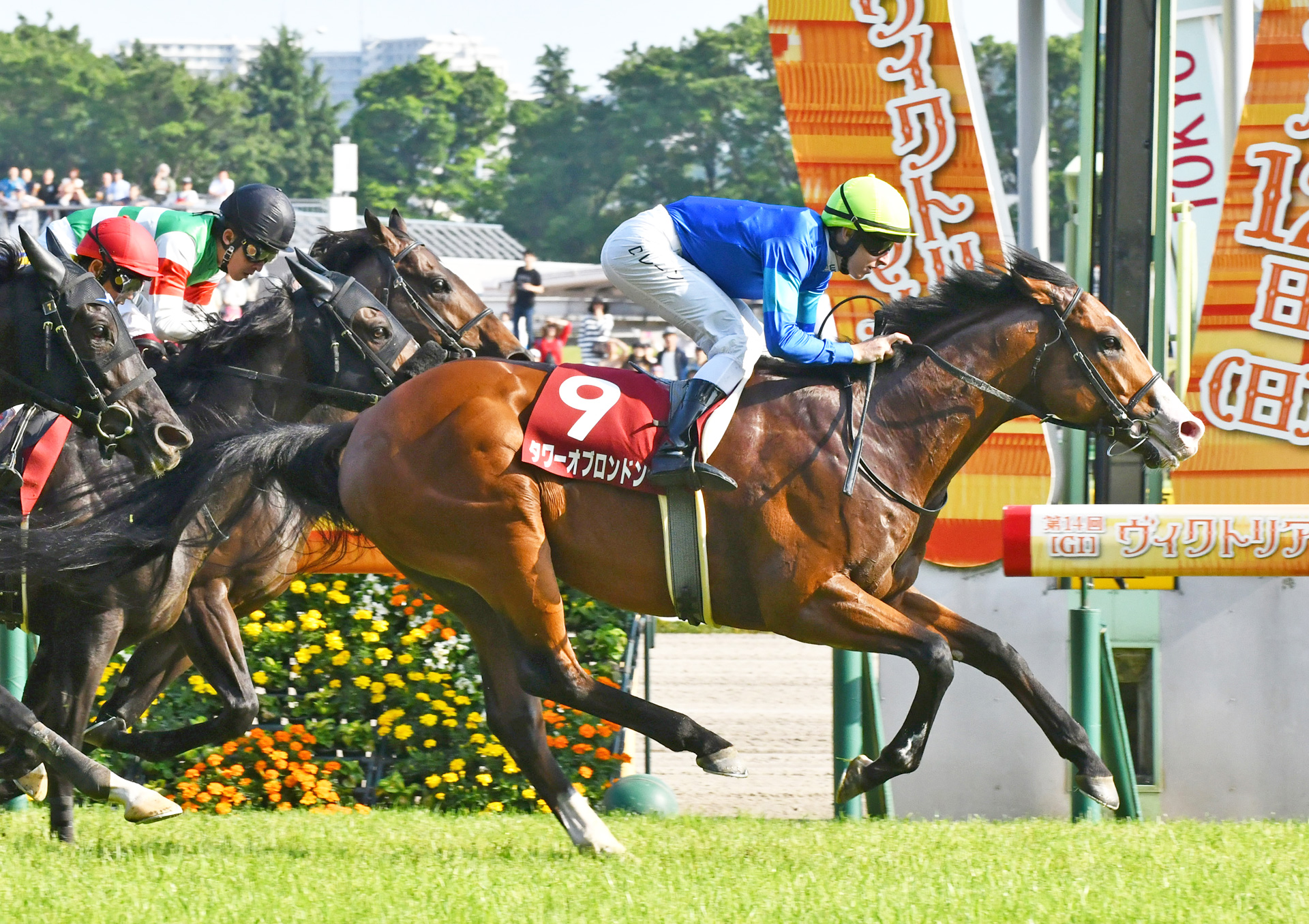 【6/8-9 のカリスマ速報】軸をしくじったー!!悔し涙の39万馬券 ...