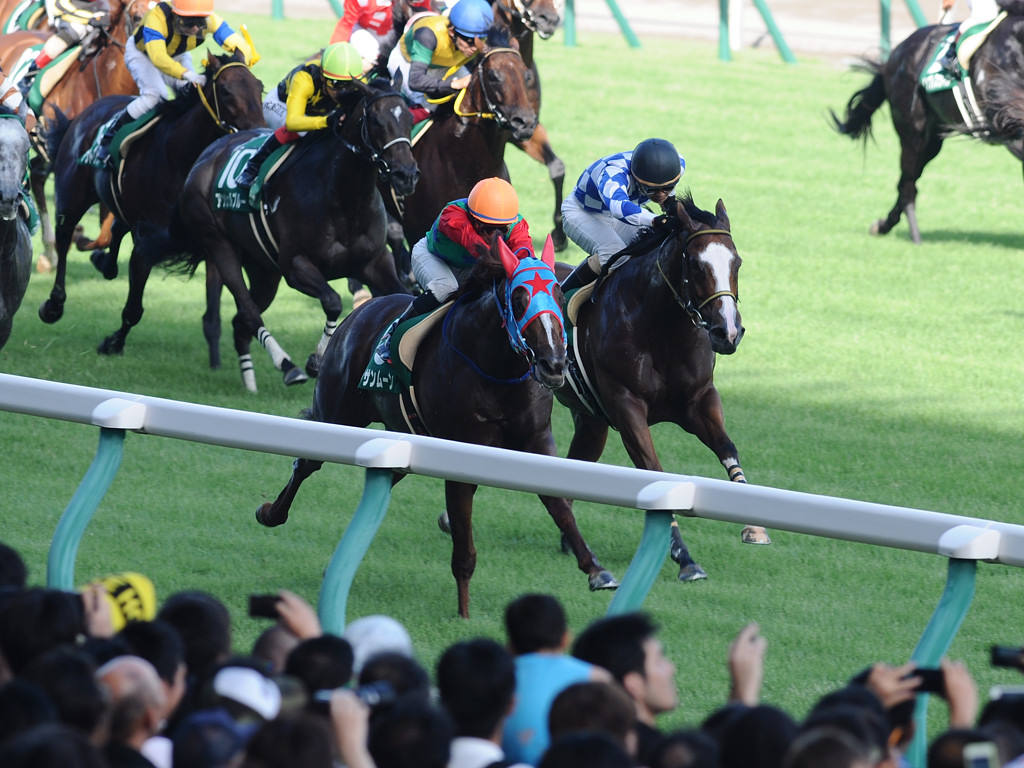 アイビスサマーダッシュ 2019 【穴馬】 藤田菜七子ちゃん参戦！！連対率50％の該当馬とは？