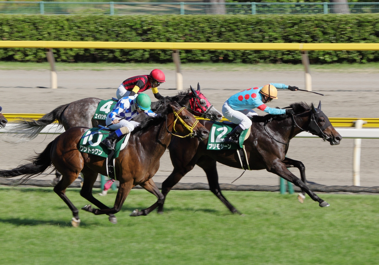 関屋記念 2019 【穴馬のヒント！】厳選４頭を公開！！軸馬はこの中にいる！ケイデンスコールなど