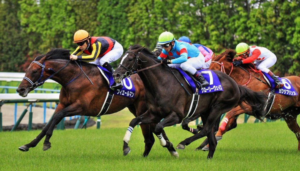 札幌記念 2019 【穴馬】 フィエールマン VS ワグネリアン！あなたの悩みに答えます！勝つのは「あの馬」！