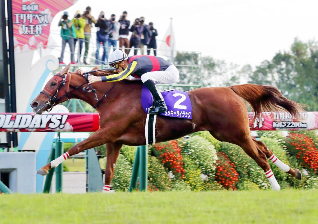 中山記念 単勝１点 悩む必要なし 勝負の鍵は 展開 にあり その本命 とは 競馬予想 カリスマ馬券 真田幸太郎 キングスポーツ