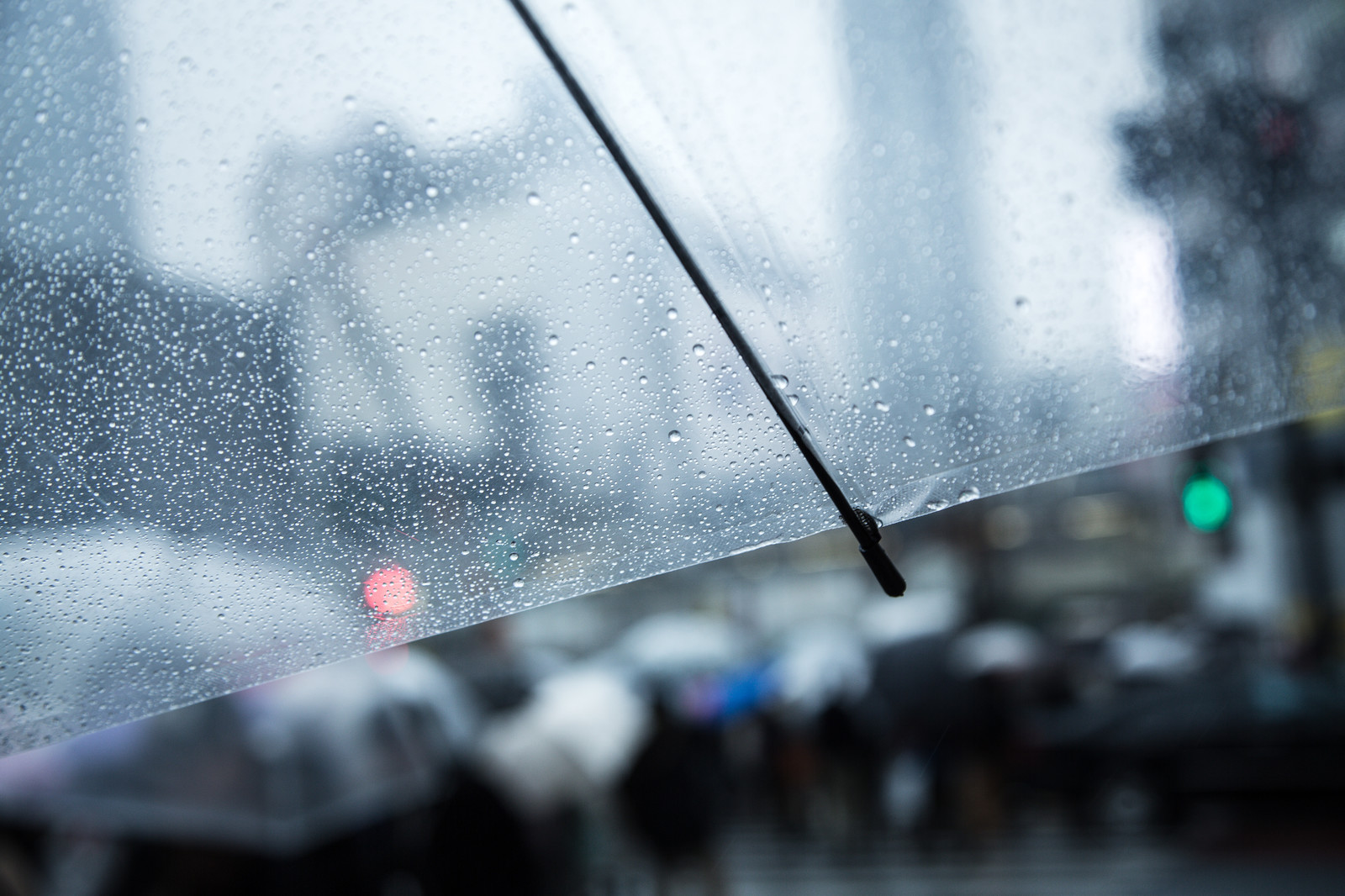 関屋記念 穴馬のヒント 雨なのに良 天気と馬場に惑わされるな 雨の新潟競馬場の攻略法と推奨馬の正体とは 競馬予想 カリスマ馬券 真田幸太郎 キングスポーツ