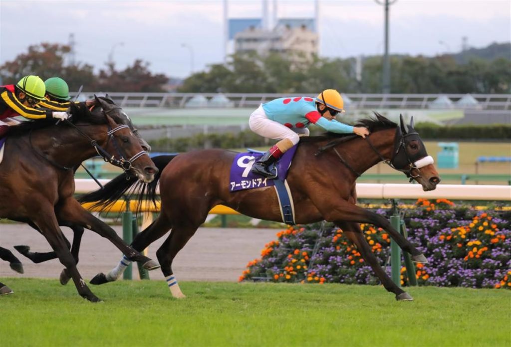 アーモンドアイ 2020 ジャパンカップ 現地 単勝馬券 - その他