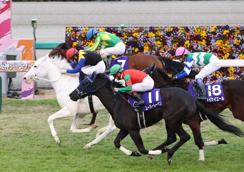 桜花賞 2021 予想 ソダシ サトノレイナス