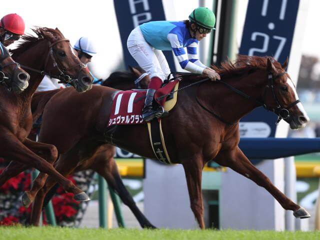 ジャパンカップ 2017 予想「悲鳴か？歓喜か？キタサンブラック