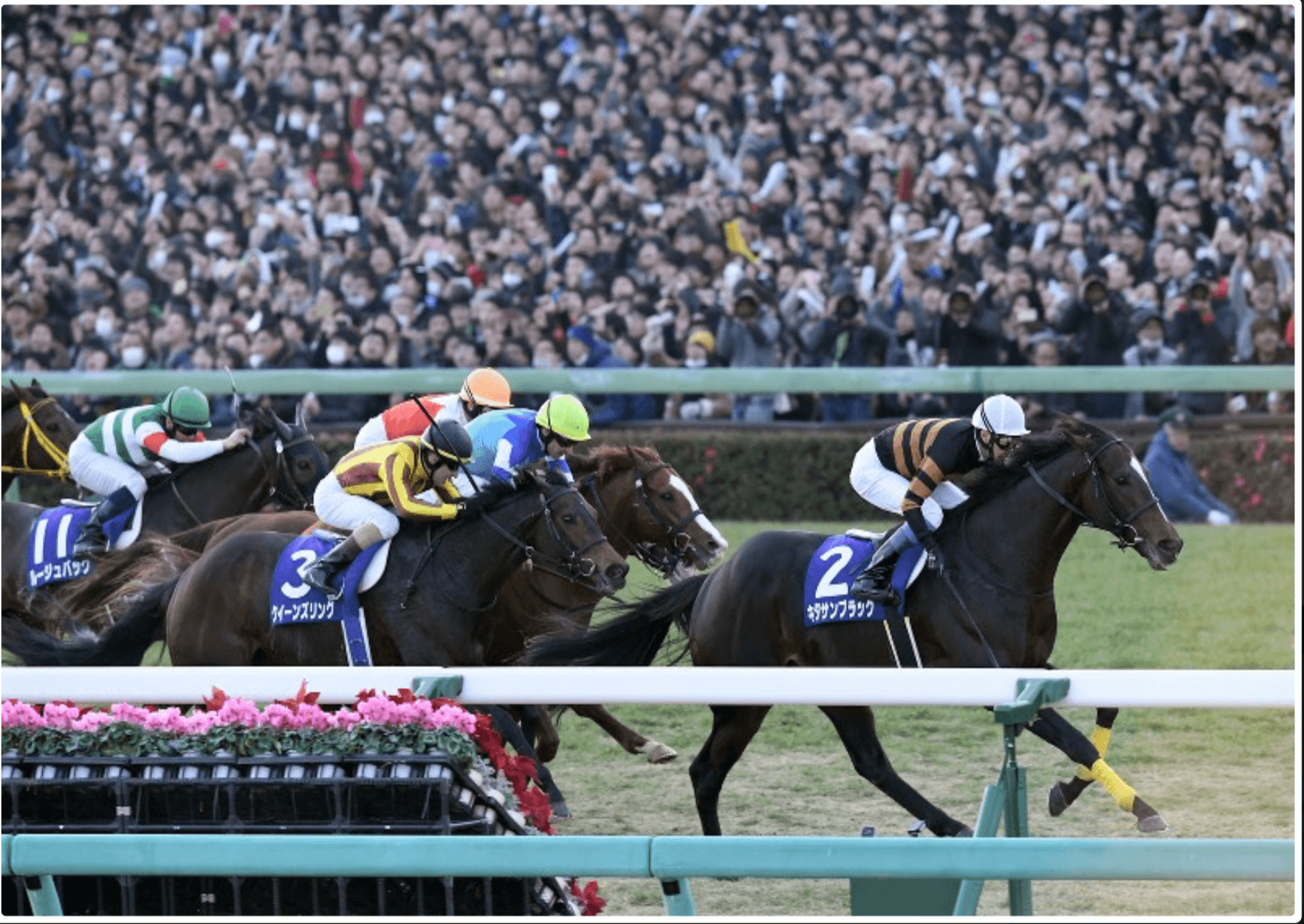 有馬記念 17 枠順決定 1枠2番 キタサンブラックは 本当に勝てるのか 競馬予想のキングスポーツ