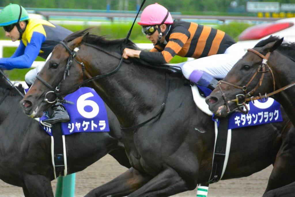 有馬記念 2017 予想「キタサンブラック！ラストラン」 - 競馬予想のキングスポーツ