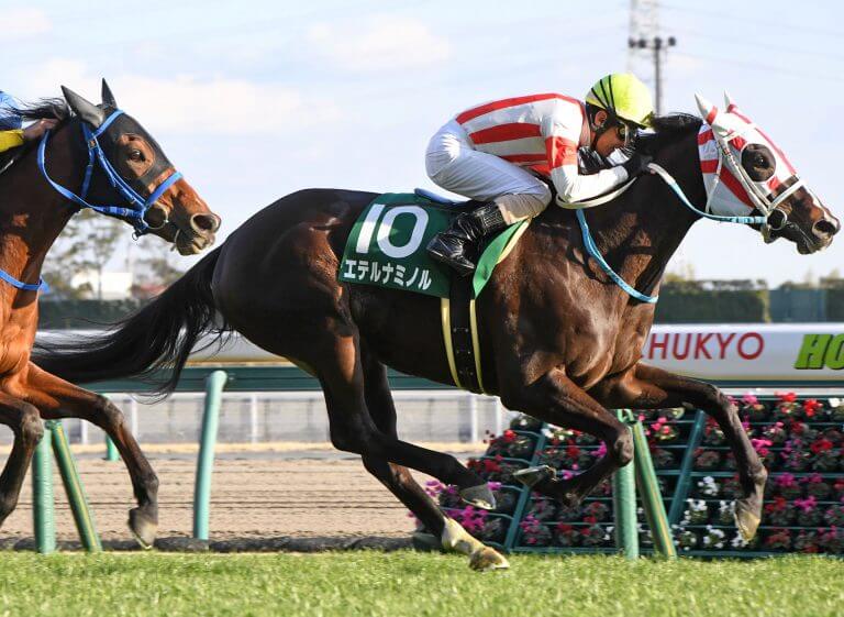 【回顧】愛知杯 2018 勝負の明暗「勝ち馬を褒めるべし！差し有利の展開を圧勝」