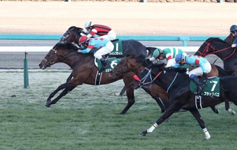 【回顧】中山金杯 2018 勝負の明暗「３強の取り捨てが勝利の鍵」