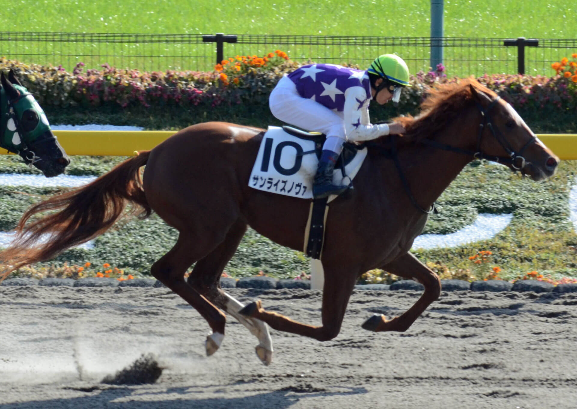 フェブラリーステークス 2018【予想】勝ち馬は「5強」の中に