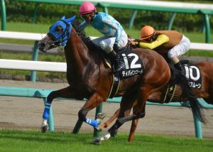 東京新聞杯 18 穴馬 １番人気が勝てない重賞 衝撃の穴馬とは 競馬予想のキングスポーツ