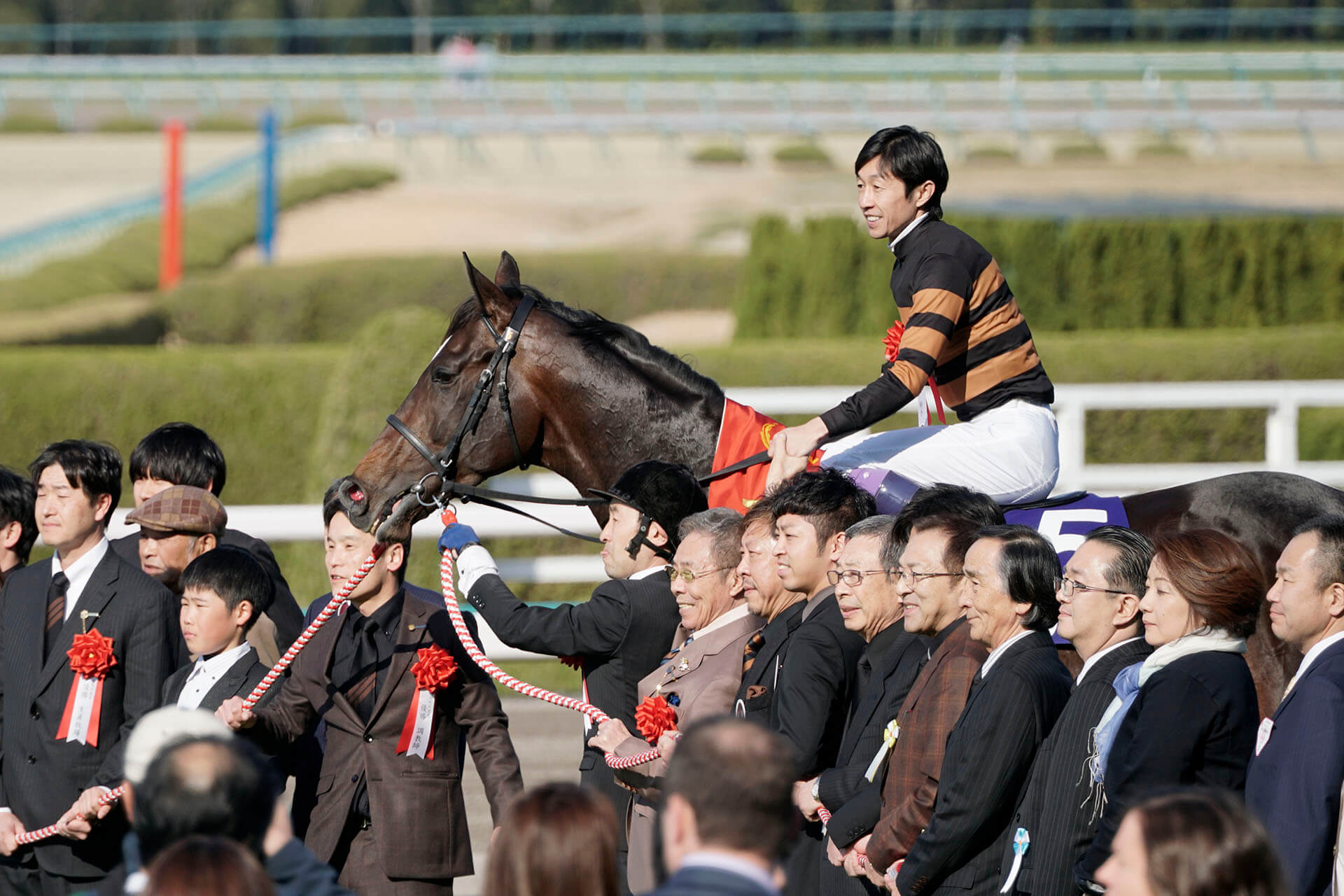 大阪杯 18 予想 前哨戦をまとめてみた 関係者のコメント付き 出走予定馬など 競馬予想のキングスポーツ