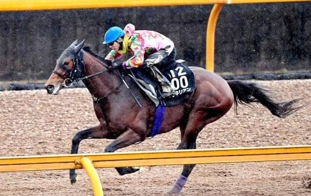 日本ダービー 2018 ワグネリアン復活か？！～シャープに伸びて11.8秒！！～ - 競馬予想のキングスポーツ