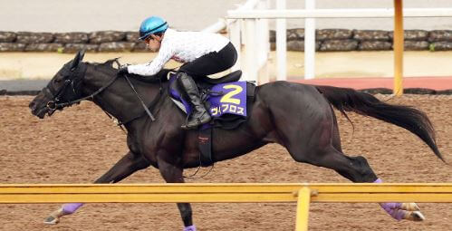 宝塚記念 2018 【予想】サトノダイヤモンド VS ヴィブロス ２強を脅かす穴馬とは！？～〇〇で優勝経験がないと（０－０－４ー49）で連対率 ０％～データ分析で見えた☆激走馬とは？ - 競馬予想のキングスポーツ