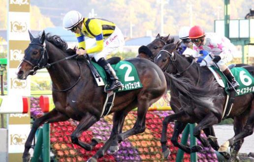 福島記念 2018【回顧】条件が合えばもっと走れそうな馬がいた！