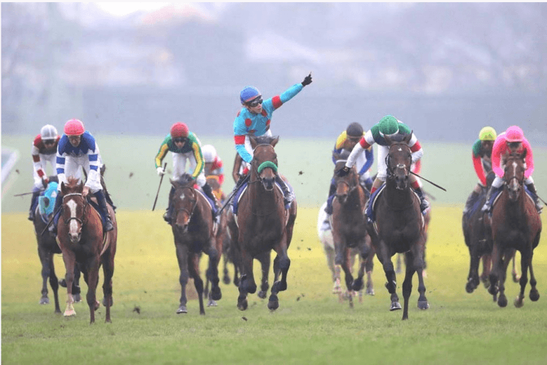 獲った平成最後の【有馬記念・的中】⇒（日）中山競馬で８万馬券 的中など「怒涛の４連勝」！！