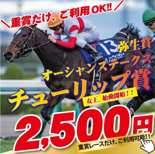 大阪城ステークス 2019【予想】激走必至の注目馬を公開！阪神芝1800Ｍ