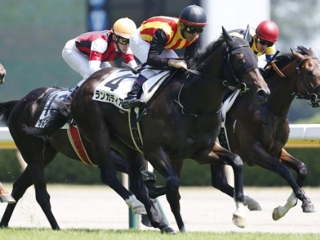 大阪城ステークス 2019【予想】激走必至の注目馬を公開！阪神芝1800Ｍ