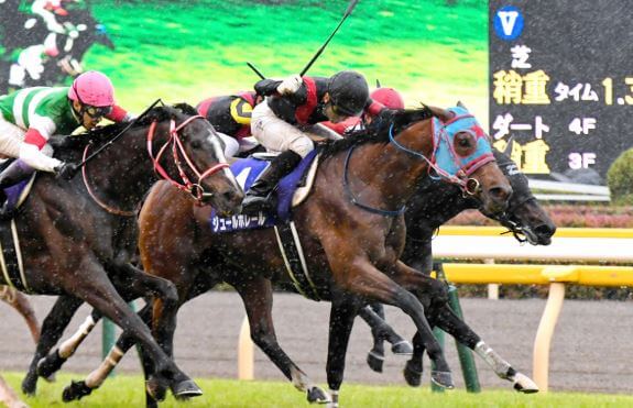 阪神牝馬ステークス 2019【予想】勝利のヒントは「近５年の勝ち馬」にあり！ラッキーライラックなど主な出走予定馬