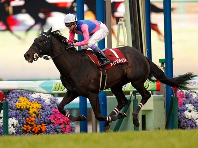 日経賞 2019【回顧】勝ち馬は当然、敗れた馬の中でも気になる馬がいた！