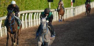 ロードクエスト アーカイブ 競馬予想のキングスポーツ
