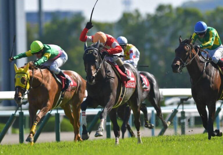 京都新聞杯 2019【回顧】勝ち馬はダービーで通用するのか？あの名馬と比較