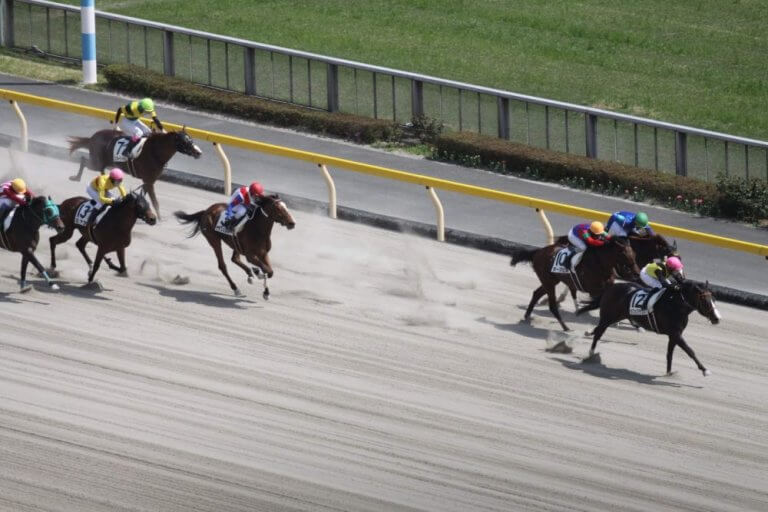 銀嶺ステークス 2019【予想/データ】必見！高配当の穴馬を公開中！(土)東京10レース