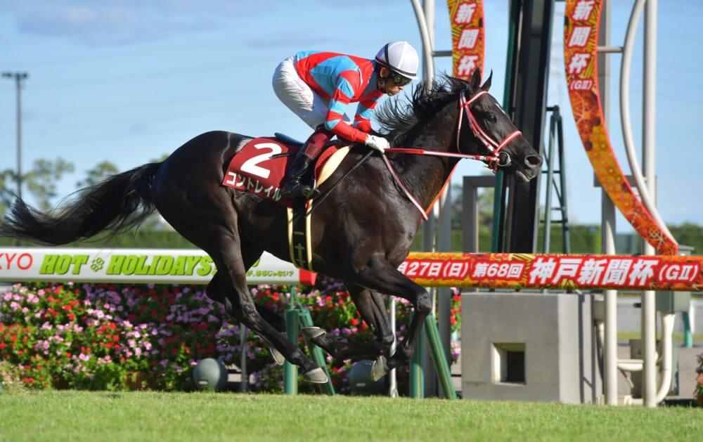 神戸新聞杯 2020【回顧】勝ち馬は当然、他に期待すべき馬は？次走への一言メモも