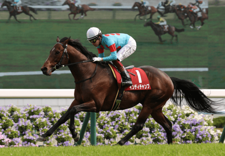 ãƒžã‚¤ãƒ©ãƒ¼ã‚ºã‚«ãƒƒãƒ— 2020 å›žé¡§ äº¬éƒ½ã‚'äºˆæƒ³ã™ã‚‹ä¸Šã§ã®ãƒã‚¤ãƒ³ãƒˆã¨ã¯ ç«¶é¦¬äºˆæƒ³ã®ã‚­ãƒ³ã‚°ã‚¹ãƒãƒ¼ãƒ„