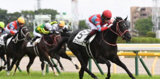 日本ダービー アーカイブ 競馬予想のキングスポーツ