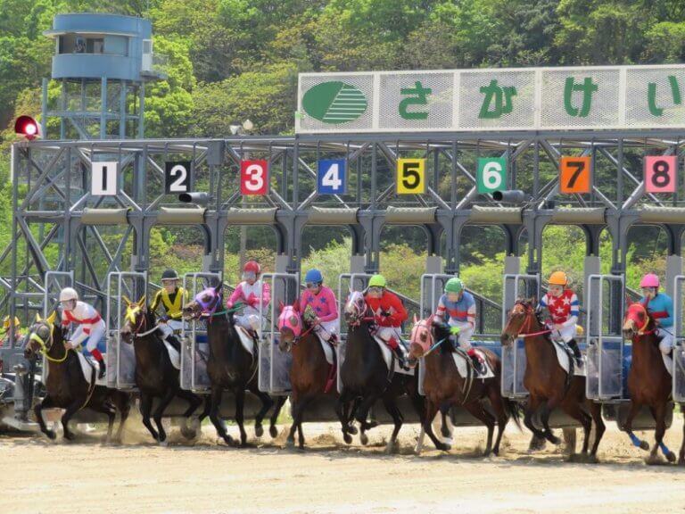 佐賀記念 2020【予想】指定買い目を無料公開！祝日も競馬を楽しもう！２/11(火)佐賀９レース