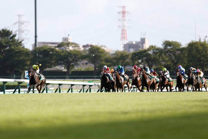 オールカマー 2021【予想/穴馬/枠順確定】今年も牝馬か？牡馬の台頭があるのか？「イチオシ☆穴馬」を公開中！