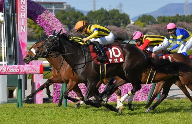 阪神牝馬ステークス 2021【回顧】勝ち馬はもっと強くなる！２着馬は今後もマイルで見たい