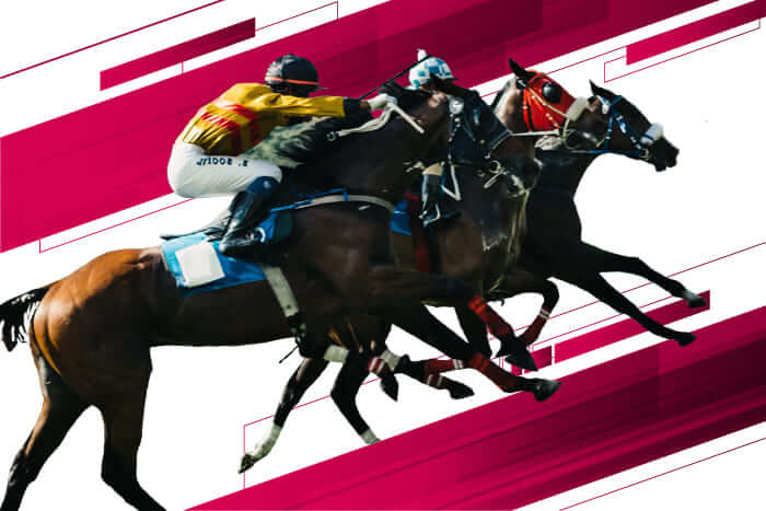 福島牝馬ステークス 2021【予想/穴馬/枠順確定】今年は新潟開催だからこそ面白い！適性十分の「☆あの馬」を指名！