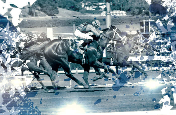 神戸新聞杯 2021【予想/穴馬/枠順確定】シャフリヤール相手に厚め勝負をしたい推奨馬を公開！