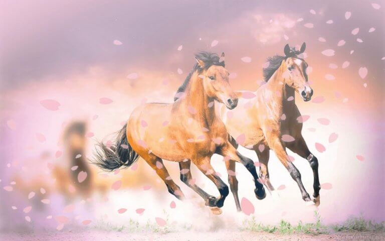 【阪神牝馬ステークス 2022 予想/穴馬/枠順確定】「オンナの戦い」は桜花賞だけではない！混戦必至の古馬・牝馬重賞で推奨した馬は！？