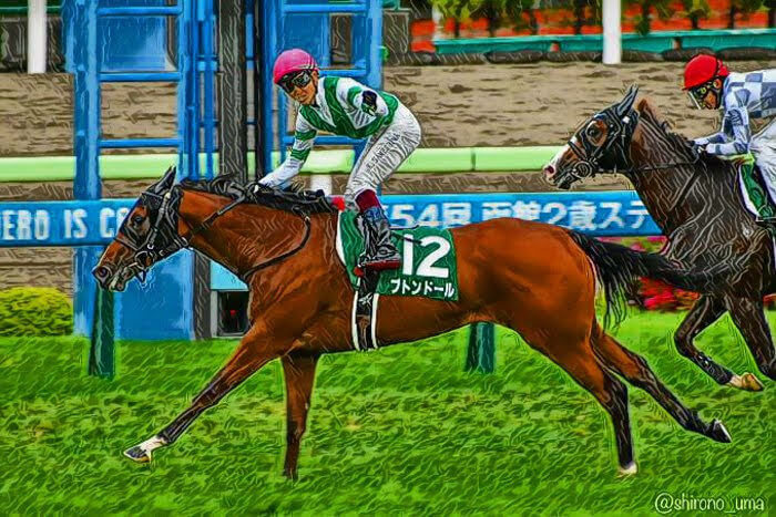 函館２歳ステークス 2022【回顧】希望溢れる２歳馬たち！特に気になる３頭を解説！