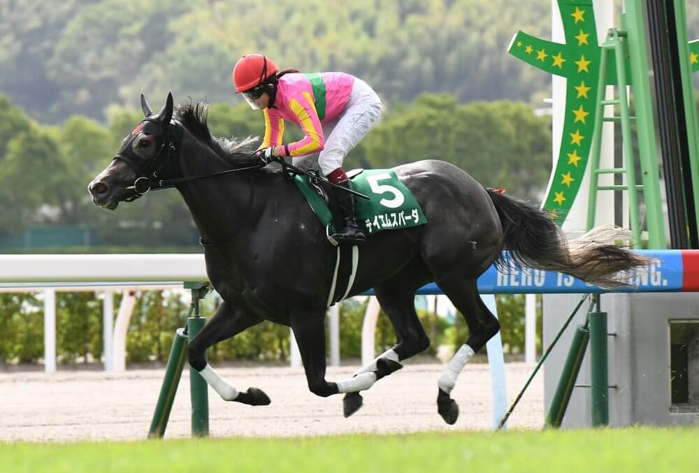 ＣＢＣ賞 2022【回顧】文句なしのスター誕生！気になる馬もいた！