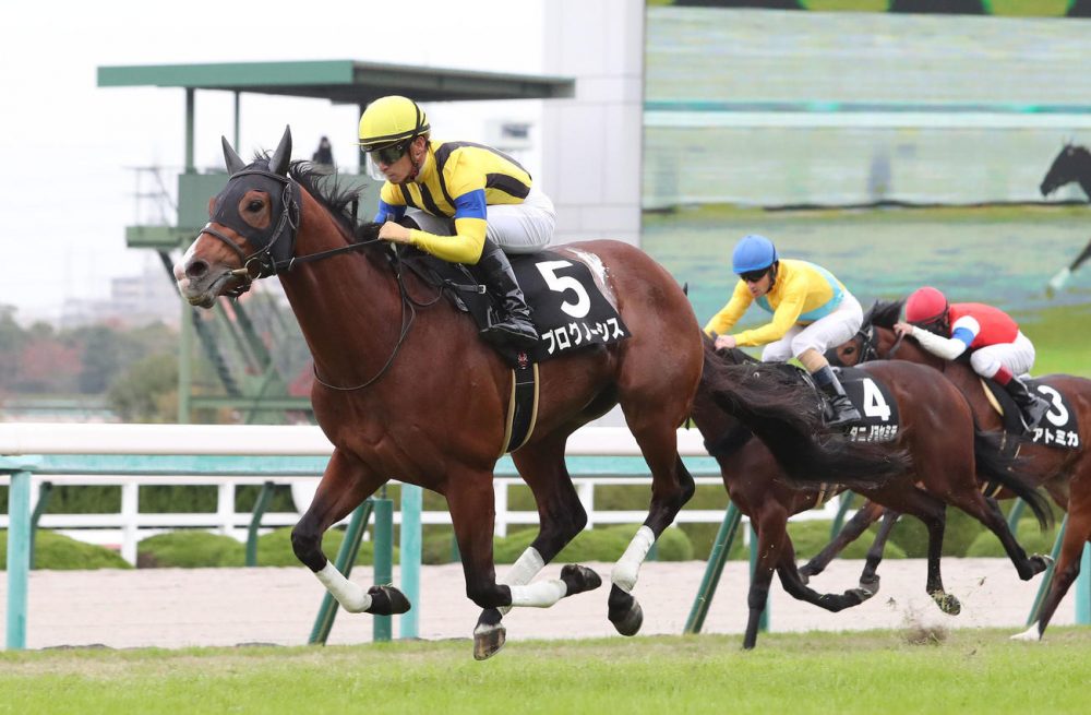 枠順確定】金鯱賞 2024【穴馬/予想】菊花賞馬ドゥレッツァの復帰戦だ