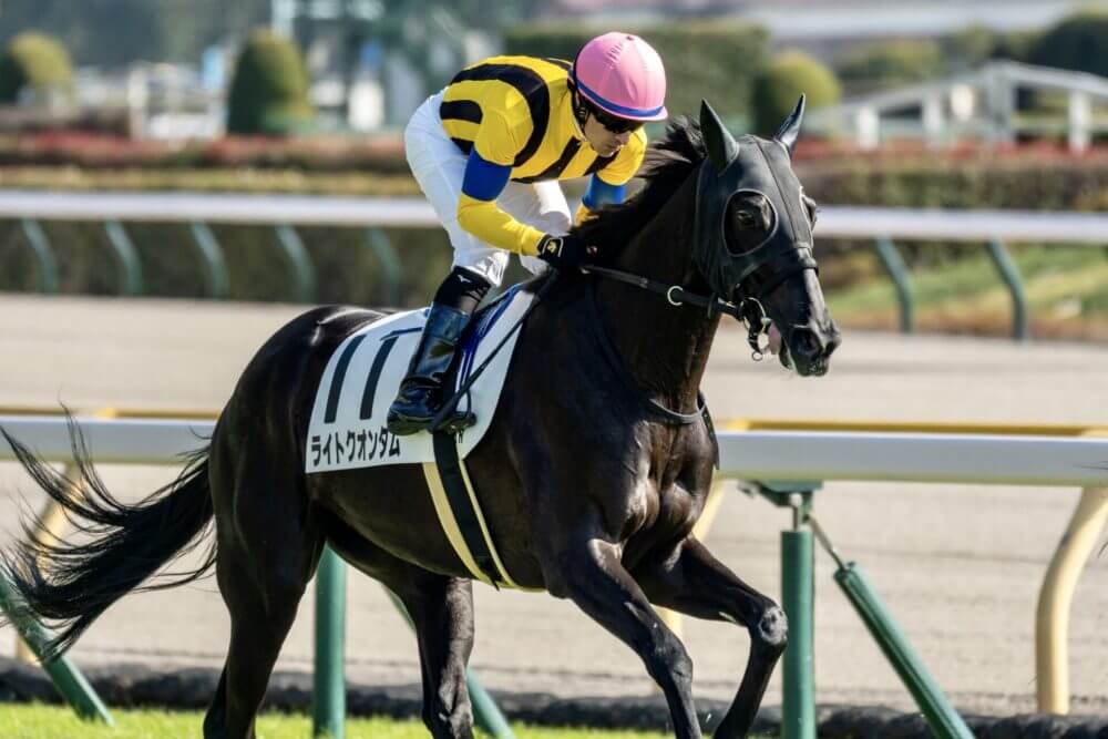 桜花賞 2023【予想/穴馬】枠順確定！さあ大一番だ！2005年を思い出せ