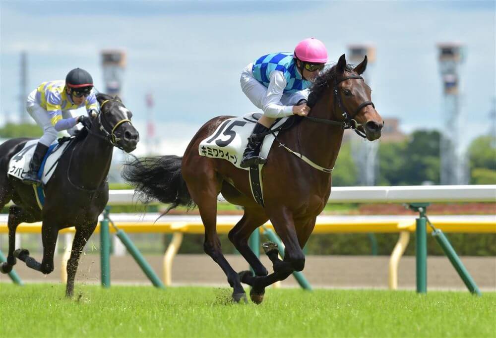 枠順確定】函館スプリントＳ 2024【穴馬/予想】コース形態を知ることが勝利への第一歩！実は函館は「○○」が大きいのだ！アサカラキングなど主な出走馬の解説も  - 競馬予想のキングスポーツ