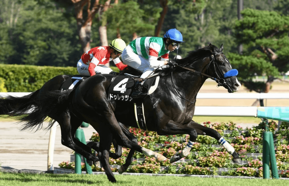 サトノダイヤモンド 新馬戦〜天皇賞・春２歳から４歳国内全１０戦現地単勝馬券セット 20220604-OHT1I51298-L.jpg