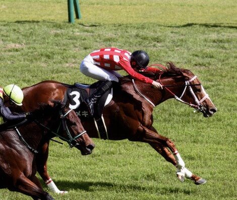 アイビスサマーダッシュ 2023【穴馬/予想】枠順確定！３連単５万馬券