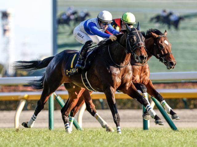 宝塚記念 2025【予想/穴馬/】枠順確定！どんな名馬でも馬場には