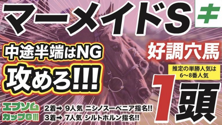 【無料/穴馬/好調教】マーメイドＳ 2024「人馬揃って明日のスター」へ！魅力溢れる好調教の穴馬を見逃すな！