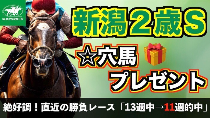 新潟２歳Ｓ 2024【無料/穴馬/予想】獲るぞ！３連単30点で２万馬券以上を宣言！「自信の☆軸馬」をプレゼント！