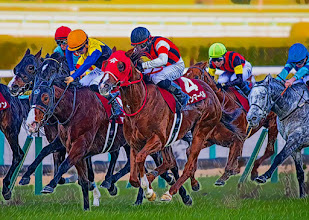 阪神Ｃ 2024【穴馬/予想】今年ラストの京都重賞！有終の美を飾るためには「順番を間違えるな！」主な出走馬＆攻略データのご紹介も