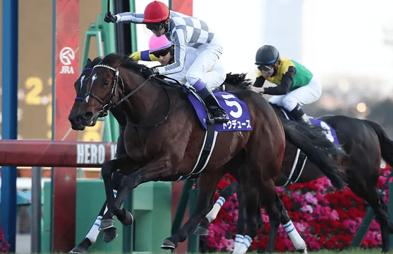 魂の大勝負】混沌の有馬記念 2024【予想/穴馬】枠順確定「馬連50倍以上」で伝説の勝利へ！ - 競馬予想のキングスポーツ