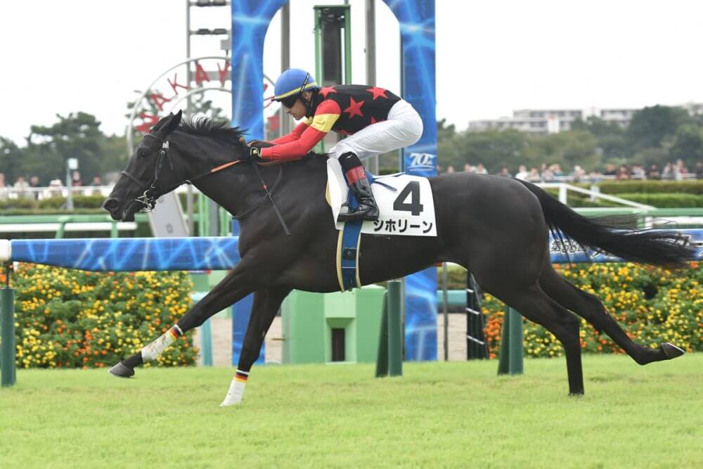 枠順確定】フェアリーS 2025【穴馬/予想】攻略のヒントは「あの 枠順確定】フェアリーS 2025【穴馬/予想】攻略のヒントは「あの
