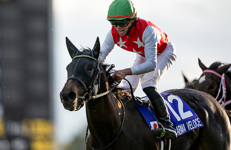 枠順確定】春の嵐・桜花賞 2025【穴馬/予想】勝つのは、この5頭中に